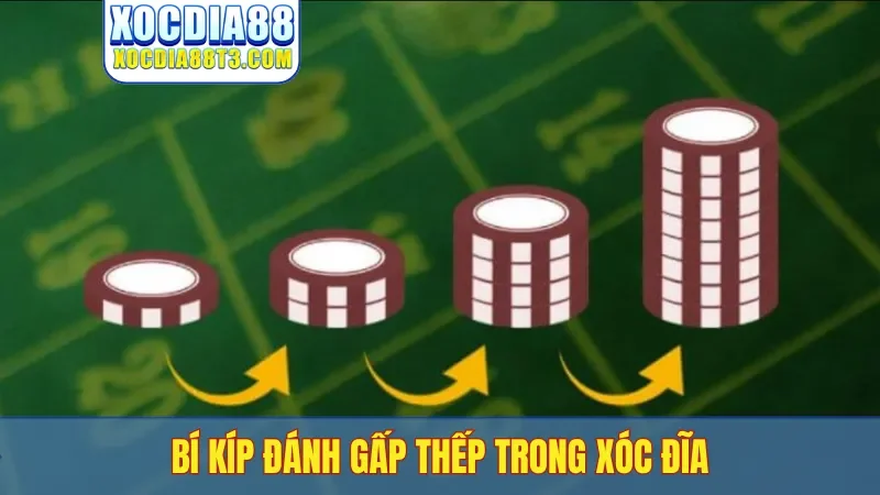 Bí kíp đánh gấp thếp trong xóc đĩa