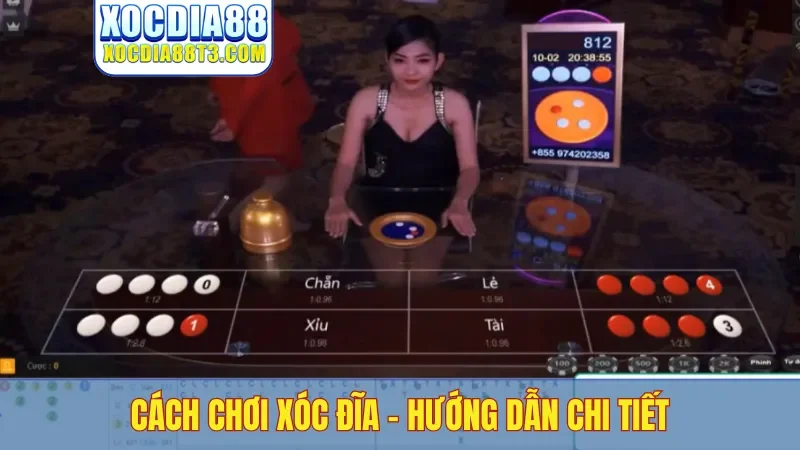 Cách chơi xóc đĩa