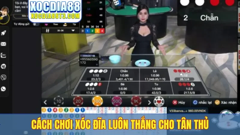 Cách chơi xóc đĩa luôn thắng cho tân thủ