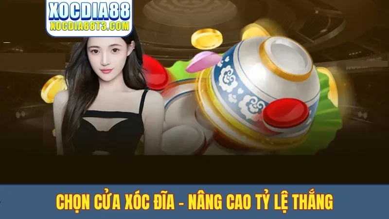 Chọn cửa xóc đĩa