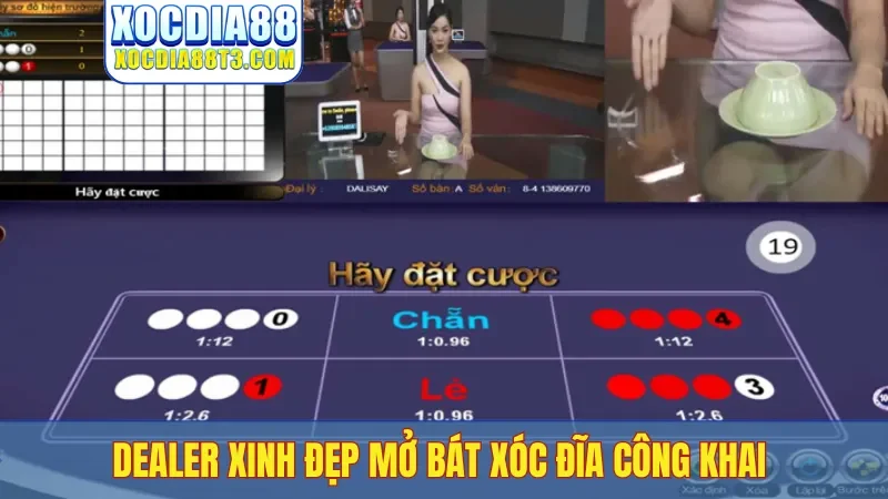 Dealer xinh đẹp mở bát xóc đĩa công khai