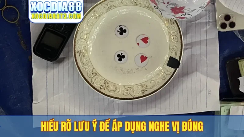 Hiểu rõ lưu ý để áp dụng nghe vị đúng