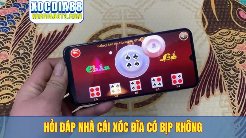 Hỏi đáp nhà cái xóc đĩa có bịp không