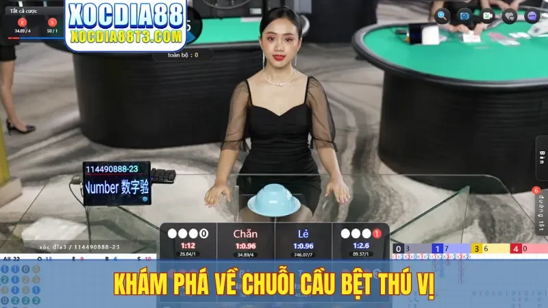 Khám phá về chuỗi cầu bệt thú vị