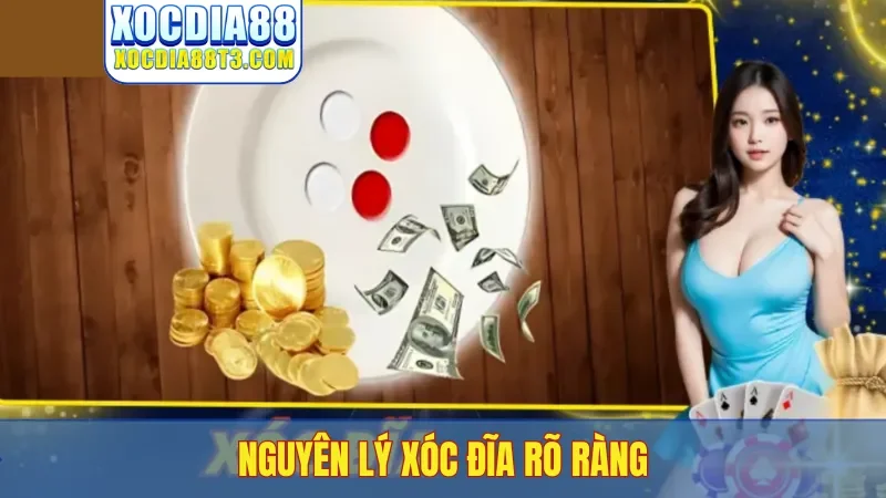 Nguyên lý xóc đĩa rõ ràng