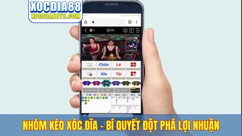 Nhóm kéo xóc đĩa