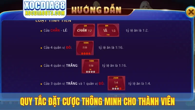 Quy tắc đặt cược thông minh cho thành viên
