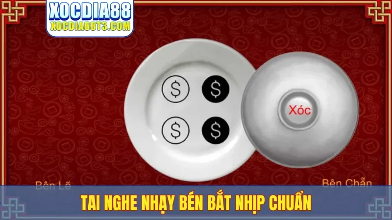 Tai nghe nhạy bén bắt nhịp chuẩn